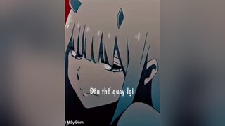 Sai đêm nay là say đêm mai... sau5894 lyrics nhacchill douyin抖音 xuhuong zerotwo anime