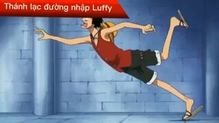 Thánh lạc đường nhập Luffy #anime #onepiece