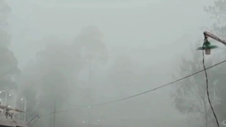 like dan follow nya gays 😁