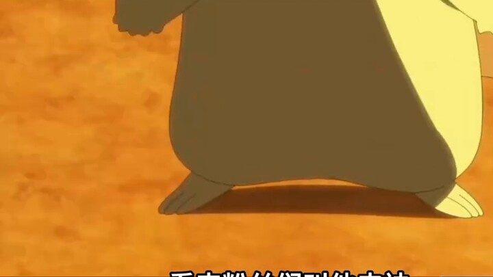 The most bizarre Pokémon scraps