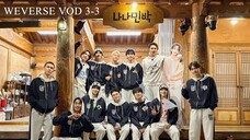 (VOD 3-3) NANA BNB with SEVENTEEN (INA SUB)