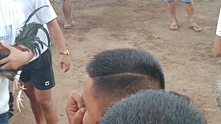 binili ko lang ng 1k sa sabongan deretso tari...nakachamba nanalo pa