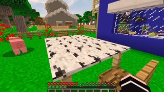 PHONG CẬN EM BÉ GIẢI CỨU BÉ HEO CON TỘI NGHIỆP_SAMMY BỊ KẺ XẤU BẮT NẠT TRONG LÀN