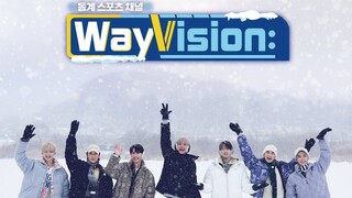 WayVision S2 Behind
