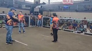 1st fight WiN 3cock Elems ARAW NG DAVAO 25M GURANTED