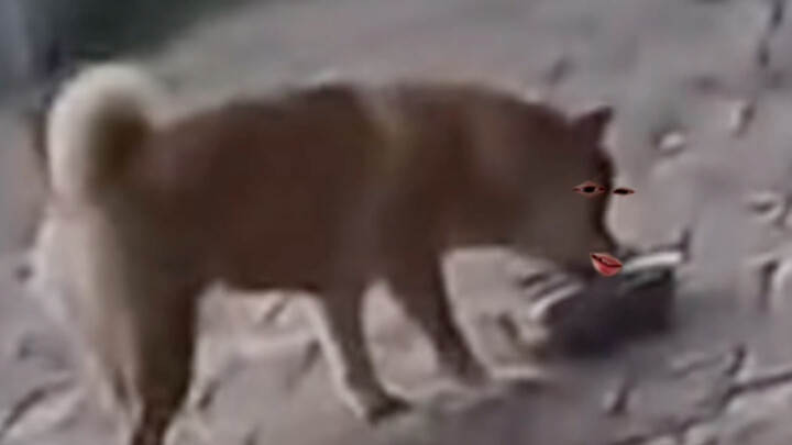 等一下我先试试嘴还好不好用