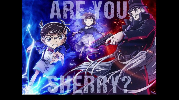 【KoAi】 Tambahan poin kship KoAi m26