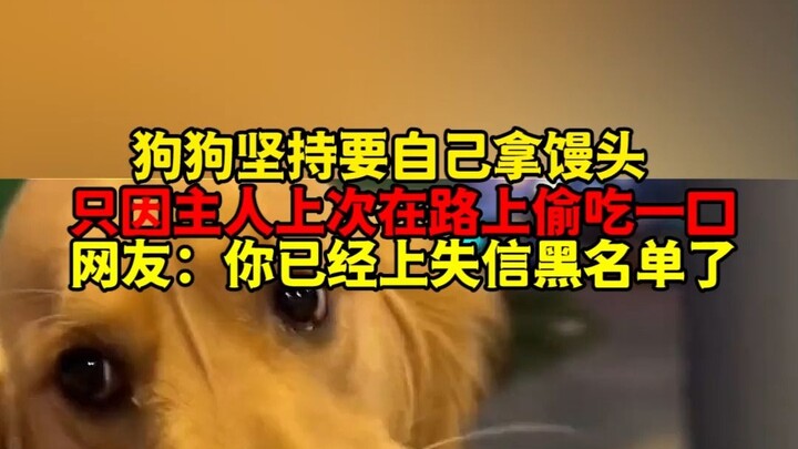 The dog insists on holding the steamed bun itself, all because its owner secretly took a bite of it 