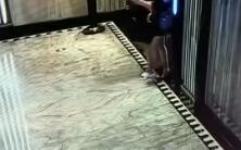 Yo~ Mr. Wang from A Building Materials is eating so well!