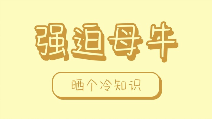 ชายเจอแม่วัวกลางทางแล้วเกิดความคิดลามกขึ้นมาทันที