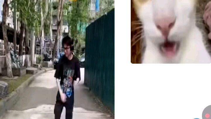 xem phim vv