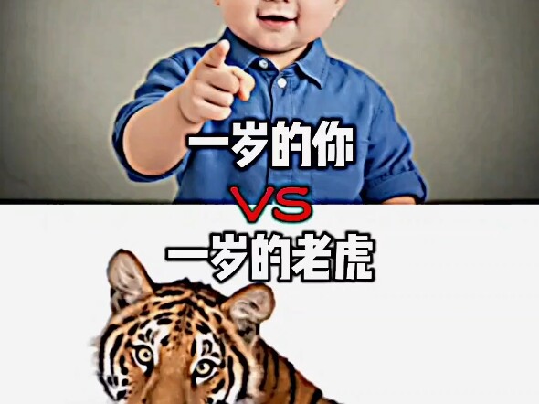 You at One Year Old vs. a One-Year-Old Tiger