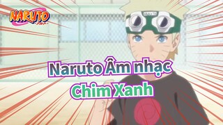 Naruto Âm nhạc
Chim Xanh