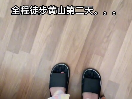 爬完黄山的棍不要扔