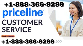 Full List of Price𝓁ine® Customer Service® Contact Numbers in USA : A Simple Step By Step Guide