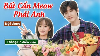 Cặp đôi oan gia chủ tịch Hình Chiêu Lâm và trợ lý Hồ Băng Khanh trong BẤT CẨN MEOW PHẢI ANH