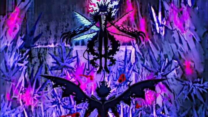 black clover