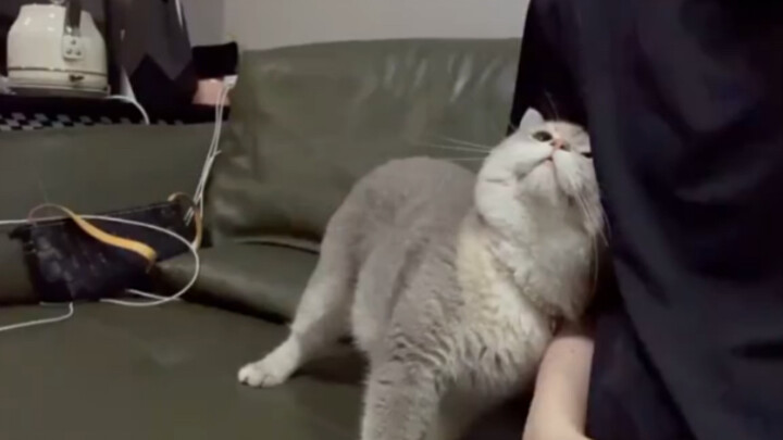 This is just too cute!