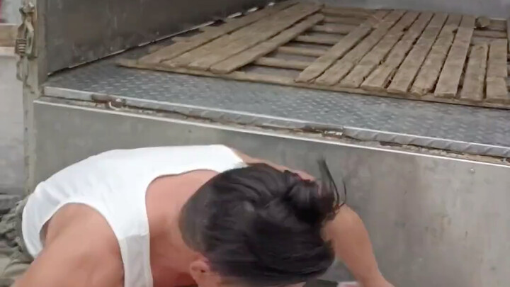 Charge ahead like a pig—no cooperation at all, so disappointing! #VariousPosesForGettingPigsIntoTheT