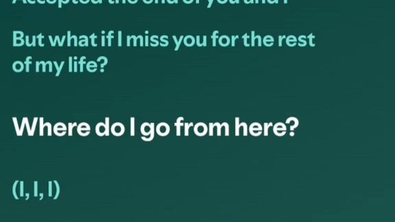What if I miss you for the rest of my life?