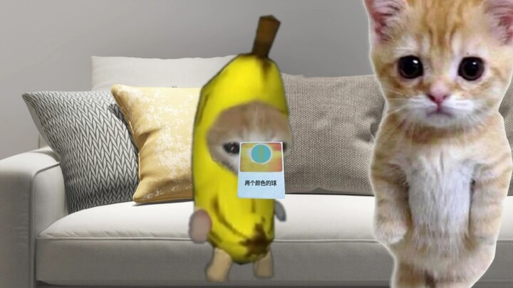 Banana Cat Wins Big Lottery Prize