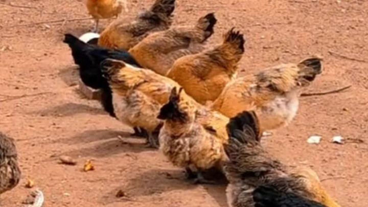 That old lady is probably a living Yama!