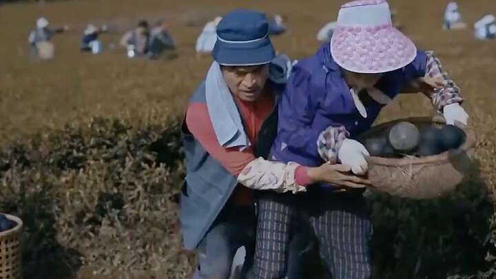 Một mảnh đất nông nghiệp mọc trên khuôn mặt của người phụ nữ. Nhìn kỹ hơn sẽ thấy một người nông dân