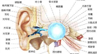كيفية جعل التأثير الصوتي لـ Qingshui يعود إلى بداية الحلم