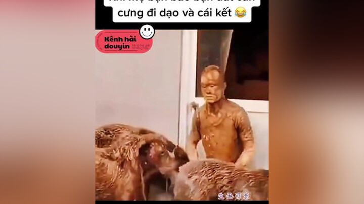 Do kênh cũ của mình đã ngỏm lên mìn tạo lại kênh mới - mong cả nhà ủng hộ ạ !  Cú sốc đầu đời khi mẹ bảo tôi dắt chó đi dạo ! 😂 walk chó dog animal_funny_video tấuhài cườixỉu cười animal thú_cưng funn