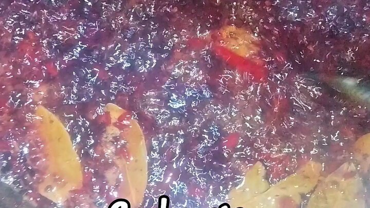 chilli garlic oil