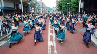 【8K】Kembang Api Universitas Waseda Tokyo "Amatsukasa"