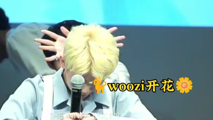 Woozi: “It’s Junnii, it’s Junnii, it was Junnii who hit Woozi.” Moon Junhui: “Ani ani ani”