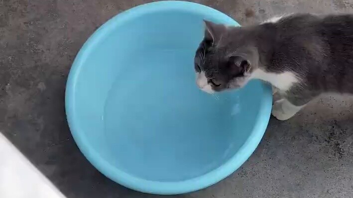 Blessed are those who saw this video