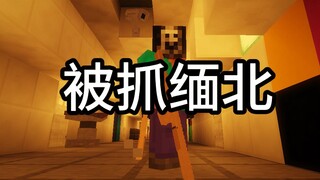 当我想要逃离缅北......
