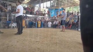 ez win sa talisay namin. walang sugat.