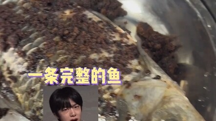 Bukan karena ikan asam Kanton di Danau Barat yang terlalu mahal, melainkan ikan mas merah dengan gul