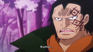 perjuangan kuma