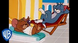Tom & Jerry | Holiday Time! ☀️ | Classic Cartoon Compilation | WB Kids