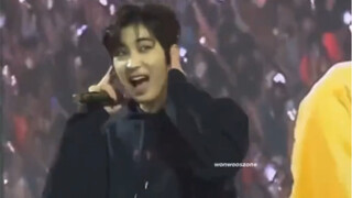 [Jeon Wonwoo] Khi tiếng hét của DK xuyên qua ống nghe, tai của chú mèo con đau nhói!
