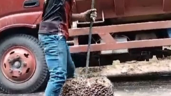 mencari nafkah