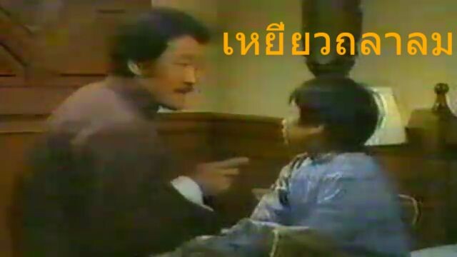 เหยี่ยวถลาลม1