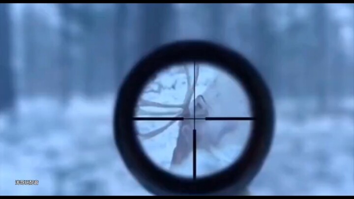 So this is how you hunt, huh?