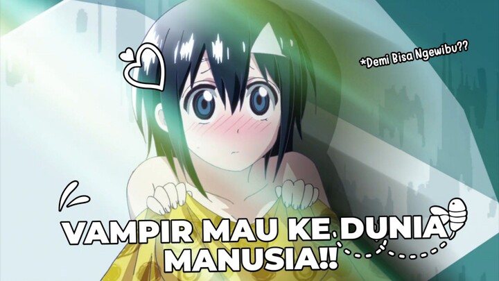 GADIS KAWAII BIKIN RAJA VAMPIR LIRIK?! Review Blood Lad~