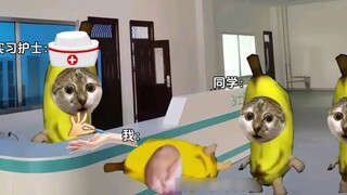 Saya tiba-tiba pingsan ketika darah saya diambil untuk pemeriksaan fisik.