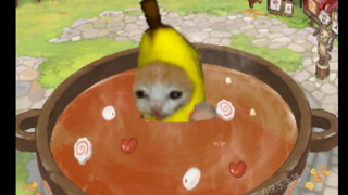 香蕉猫来玩真猫版猫和老鼠啦