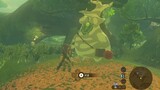[The Legend of Zelda] จะเกิดอะไรขึ้นถ้าคุณรวบรวมพวกมันได้ 900 ตัว?