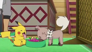 Pokemon sun and moon episode 3 in english