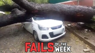 Brace For Impact! Fails of the Week | FailArmy