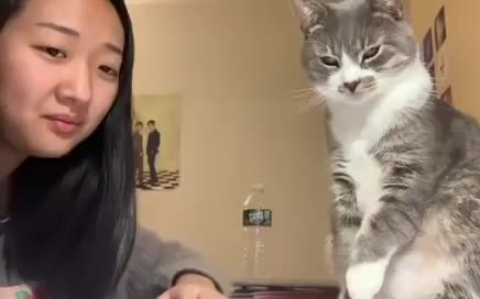 Năng lượng cao phía trước
