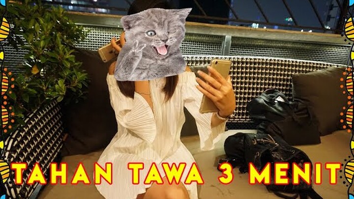 KALIAN HARUS NONTON VIDEO LUCU INI - KUMPULAN VIDEO LUCU BIKIN NGAKAK! TAHAN TAWA 3 MENIT